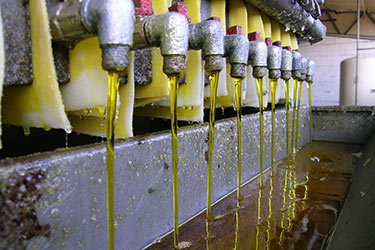 Livos Germany linseed oil press
